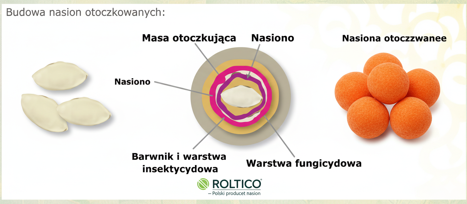 nasiona otoczkowane